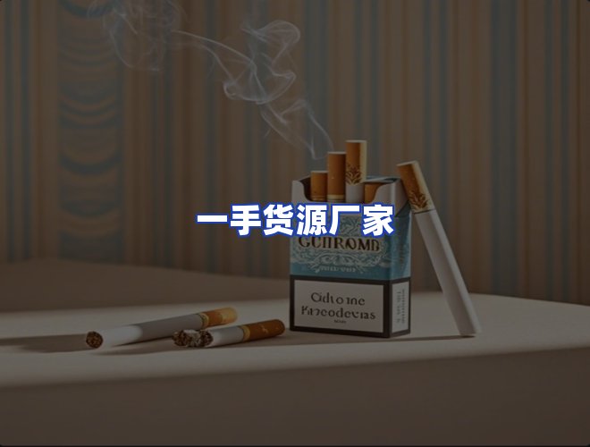 专业团队